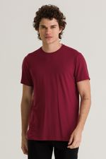 REF-231833-g
