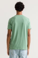 REF_231870-verde-samanbaia.2-1-1-