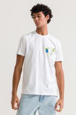 REF_231861-branco.1-1