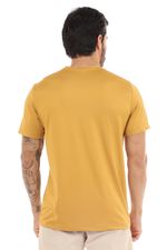 REF_231880--mostarda--1--1