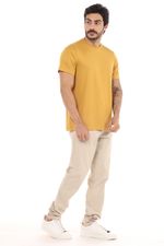 REF_231880--mostarda--2-