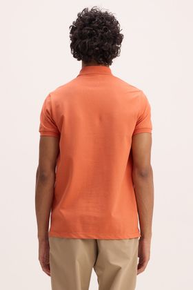 GOLA POLO EGIPCIO
