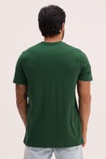 REF_231876--6--1