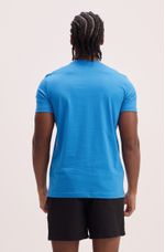 REF_952307-azul.2.jpg