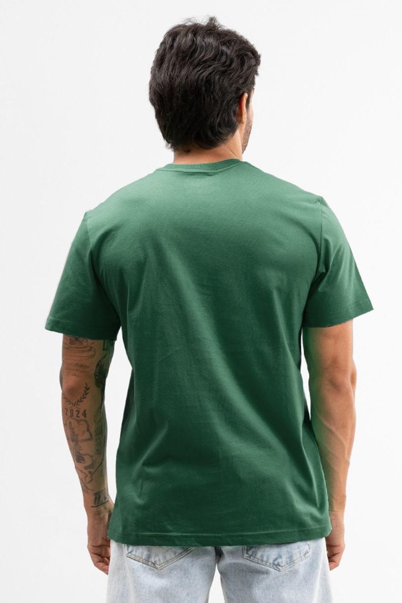 2a5b4114d92fd705e6577fa25df059b8_ref_900182_verde_grama_2_1_