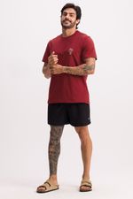 REF_952397-bordo---1-