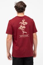 REF_-952408-bordo--3--1