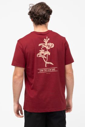 CAMISA BASICA ADULTO BLOOMING