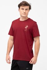 REF_-952408-bordo--4--1