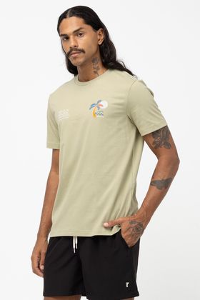 CAMISA BASICA ADULTO GOLDEN MOMENTS