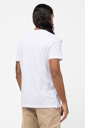 CAMISA DIFERENCIADA ADULTO COMPASS