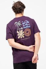 REF_-952389-uva-roxa--2--1