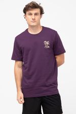 REF_-952389-uva-roxa--1--1