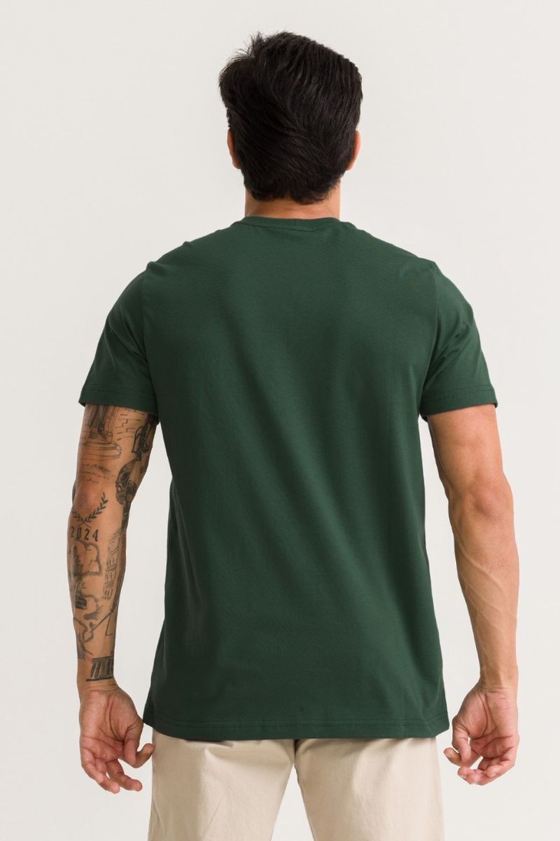 e3fbe2d44f8b79c0b97f82b1933a5b54_ref_900182_verde_floresta_2_1