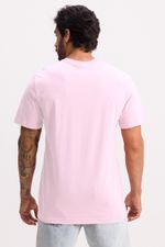 b904a75ba43899d959759638c5ffe868_ref_900182_rosa_legus_2_1