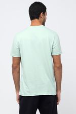 REF_900182-VERDE-AFRODITE--1--1